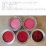 470ml  COLOUS OIL PAINT -- 칼라 오일스테인