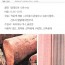딜레니아 침목